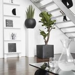 Capi Jardinière Urban Smooth carré 50x50x50 cm noir KBL904