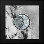Pièce de monnaie en Argent 1000 Togrog g 62.2 (2 oz) Millésime 2024 Wild Mongolia SNOW LEOPARD