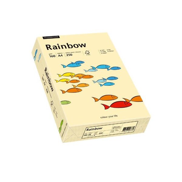 Ramette 250 Feuilles Papier multifonction Rainbow A4 160 g Chamois PAPYRUS