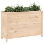 vidaXL Lit surélevé de jardin 119 5x40x78 cm bois de pin massif
