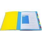 Trieur HARMINIKA à Fenêtres et Élastiques 12 Compartiments Rouge EXACOMPTA