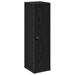 vidaXL Meuble de salle de bain avec porte-rouleau noir 20 5x22x72 cm