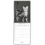 Petit calendrier mural 14x18  cm - 2024 - Chats noir et blanc - Draeger