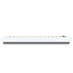 vidaXL Cadre de lit sans matelas blanc 100x200 cm