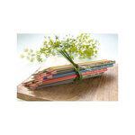 Etui de 12 crayons de couleur GREENcolors ARTY en bois FSC STABILO