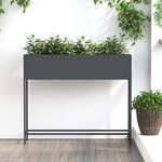 vidaXL Bac de jardin surélevé Anthracite 100 x 26 x 82 cm Acier