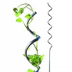 Lot de 10 tuteurs spirales pour tomates - En acier - Hauteur : 180 cm