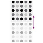 vidaXL Store enrouleur de douche 140x240 cm largeur du tissu 136 cm