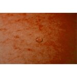 Chemise 3 rabats + elastique A4 cap 35 mm carte Orange EXACOMPTA