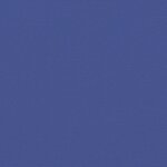 vidaXL Auvent latéral rétractable bleu 220x1000 cm