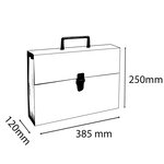 Trieur Valisette Économique 20 Compartiments - Noir - X 4 - Exacompta