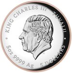 Pièce de monnaie en Argent 5 Dollars g 155.5 (5 oz) Millésime 2024 PINK PANTHER