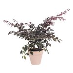 Pot de fleurs rond Loft Urban Ø 30 cm - Bleu vintage