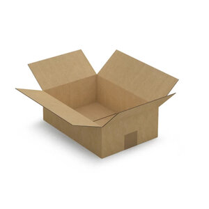 Carton d'emballage 31 x 21.5 x 10 cm - Simple cannelure