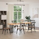 vidaXL Pieds de table console en T  2 pièces  anthracite  38 x 25 x (72-73) cm  acier