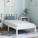 vidaXL Matelas avec couche de noix de coco Blanc 160 x 80 cm Mousse PU