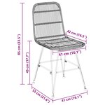 vidaXL Chaise de salle à manger 2 pc Rattan et Acier Naturel