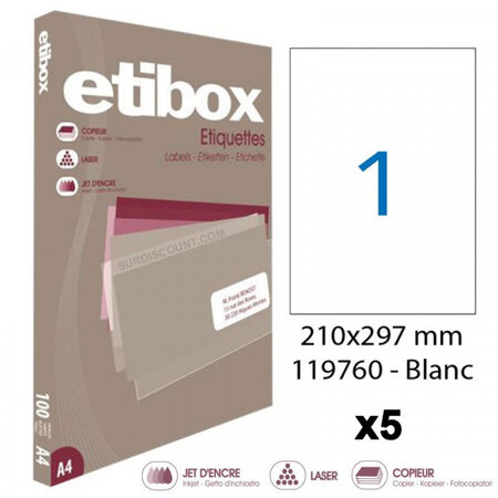 Lot de 5 boites de 100 étiquettes - format 210x297mm (a4) - etibox - apli 119760