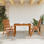 vidaXL Chaises de jardin pliantes inclinables lot de 2
