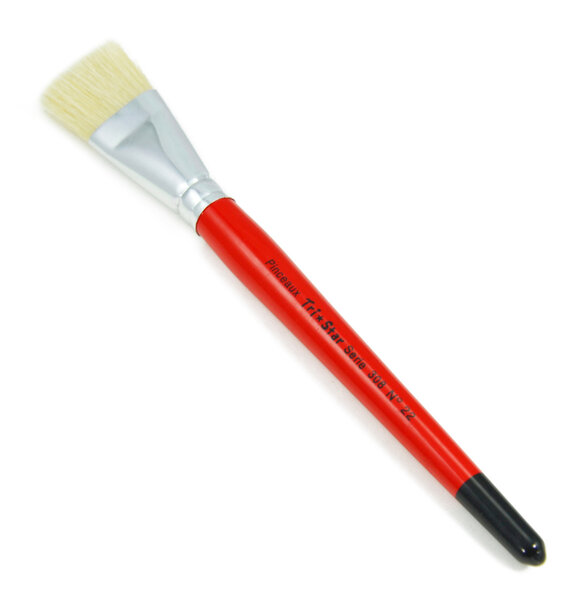 Brosse Plate Soie de Porc n°22 Lot de 10 pièces