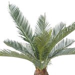 Palmier cycas artificiel en pot h 50 cm vert - dimhaut: h 50 cm - couleur: vert
