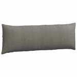 vidaXL Coussins de canapé 2 Pièces Gris clair 120 x 40 cm