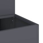 vidaXL Cache-pot de jardin Anthracite 100 x 60 x 45 cm Acier