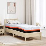 vidaXL Matelas Blanc et Gris 70 x 200 cm Mousse à Mémoire