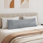 vidaXL Coussins de canapé 2 Pièces Gris clair 145 x 40 cm tissu