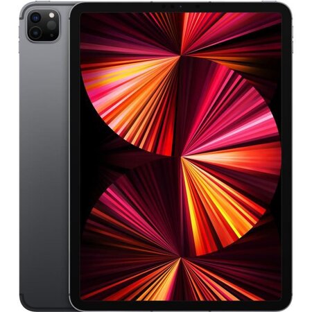 Apple - 11 iPad Pro (2021) WiFi + Cellulaire 128Go - Gris Sidéral