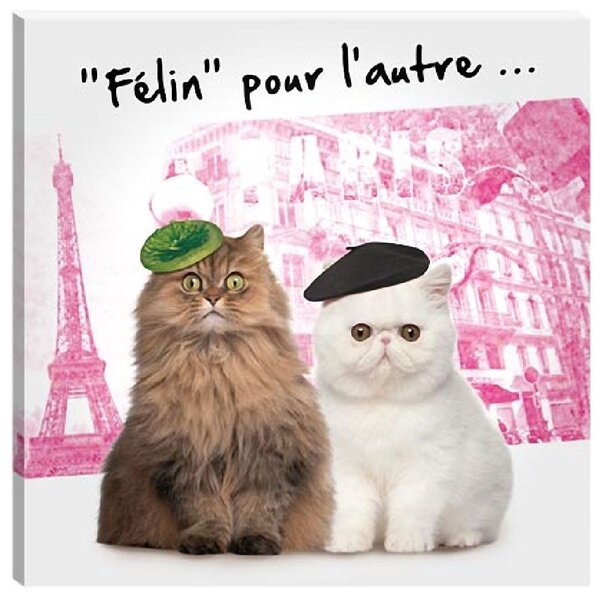 Cadre en toile chats