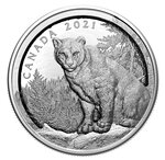 Pièce de monnaie 50 Dollars Canada Cougar à relief multiple 2021 – Argent BE