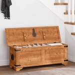 vidaXL Coffre de rangement Bois de manguier brut