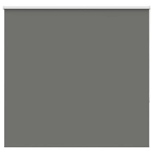 vidaXL Store enrouleur occultant largeur du tissu 161 6 cm polyester