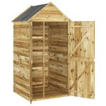 vidaXL Abri à outils avec porte 107x107x220 cm Bois de pin imprégné