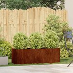 vidaXL Jardinière rouillé 120x40x40 cm acier inoxydable