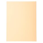 Paquet De 100 Chemises Forever® 220 100  Recyclé - 24x32cm - Bulle - X 5 - Exacompta