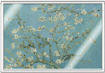 Monnaie ALMOND BLOSSOM Feuille Argent 1 Cedi Ghana 2026 (PRÉCOMMANDE)