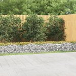 vidaXL Lit surélevé à gabions arqué 600x100x50 cm Fer galvanisé