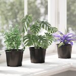 vidaXL Pot à fleurs 200 Pièces Noir Ø 15 x 12 5 cm Plastique