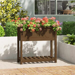 vidaXL Jardinière avec étagère Marron miel 82 5x34 5x81 cm Bois de pin