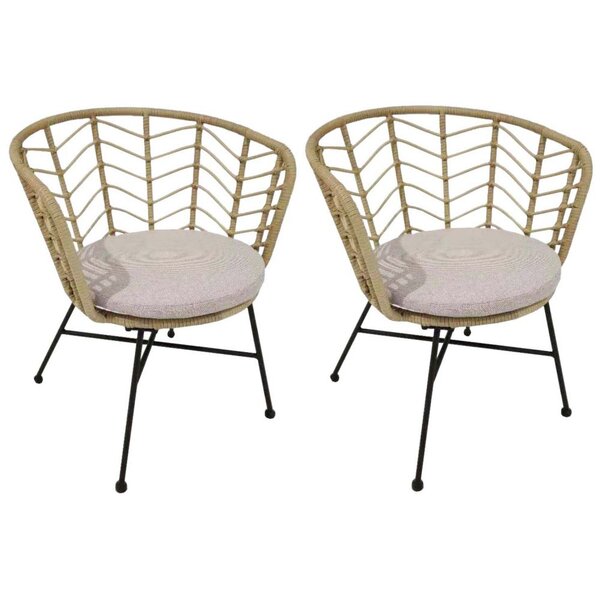 Fauteuil de jardin en acier et résine tressée holland (lot de 2)