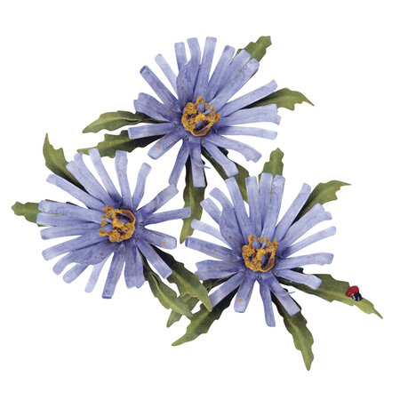 Matrice découpe et embossage (Die) Thinlits Sizzix Flower Aster