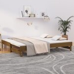 vidaXL Lit coulissant sans matelas marron miel 2x(100x200) cm