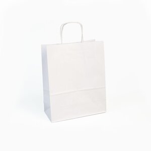 25 sacs cadeaux 220x100x290  kraft blanc  blc clairefontaine