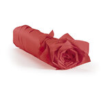 Papier de soie en rame rose 50 x 75 cm (lot de 480)