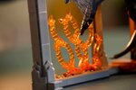 LEGO Icons - Le Seigneur des Anneaux : Book Nook du Balrog - 10367