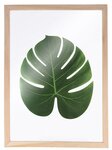 4 cadres en bois pour Herbier A4