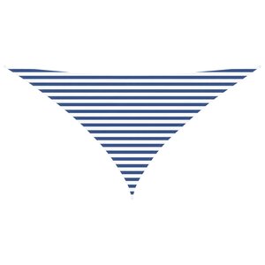 vidaXL Voile d'ombre Bleu et Blanc 3 5 x 3 5 x 4 9 m