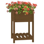 vidaXL Jardinière avec étagère Marron miel 54x54x81 cm Bois de pin